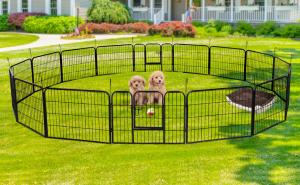 Quality Steel 66.52 Square Feet Folding Animal Temporary Yard Fencing For Dogs wholesale