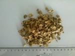 Nutrition Dark Brown Dried Mushrooms 10x10mm For Home / Restaurant