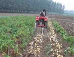Two Rows Small Agricultural Machinery Small Scale Farming Equipment