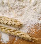 Nissan 5000kg corn flour mill Wheat flour processing machine