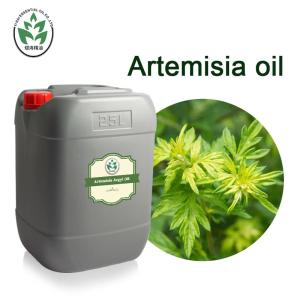 Quality Natural Pure Artemisia Argyi Essential Oil Whole Body Massage Oil Whitening Spa For Women wholesale