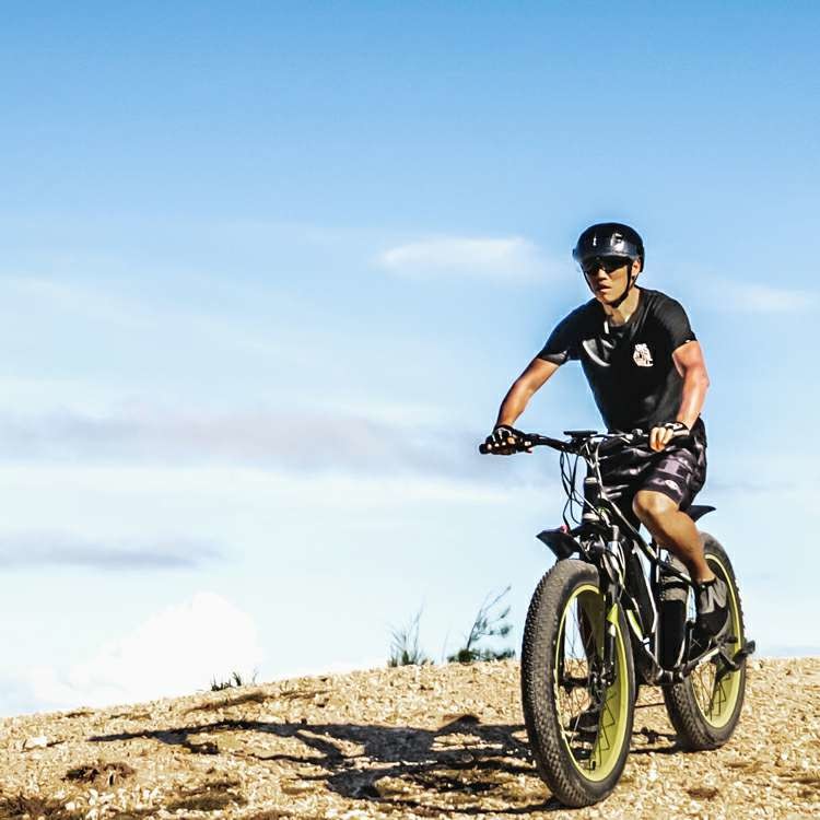 Electric Mountain Bike Fat Tyre Ebike 1000w Big Tire Electric Bicycle Hardtail Frame