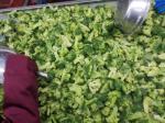 IQF Broccoli Florets 3-4cm / 4-5cm Frozen Green Vegetables BRC
