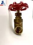 High Pressure Valve Gate Brass With Solder Joint