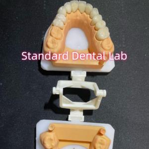 Quality Dental Restorative Dentistry Oral Care Full Zirconia Crown Customized wholesale