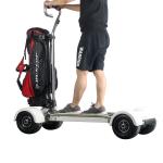 Brushless Motor 60KM Golf Electric Skateboard 1000W 60V 20.8AH 10.5 Inch