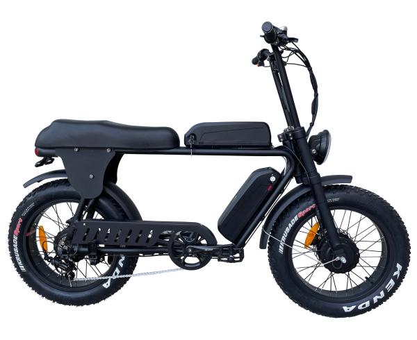 48V 150W Dual Motor Fat Tire Electric Bike Hydraulic Disc Brakes Ebike For