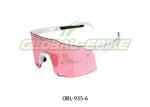 UV Protection AR PRO Mountain Bike Glasses With Interchangeable Lenses