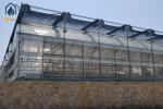 Multi Span Plastic Film Greenhouse Vegetables Fruits Flowers Hydroponic System