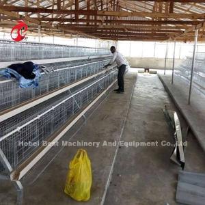 Quality Chicken A And H Automatic Battery Cage System For Poultry Farming Breeding Sandy wholesale