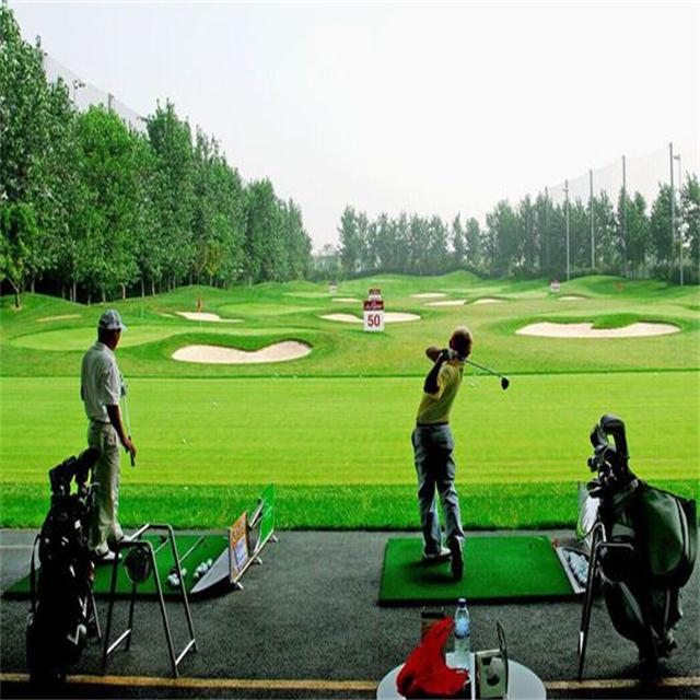 Natural Looking Artificial Golf Grass / PP Non Woven SBR Artificial Golf Turf Grass