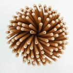 Compostable Biodegradable Paper Drinking Straws Naturally Antibacterial