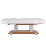 Masaje Electric Facial Bed 3 Motors Beauty Salon Spa Furniture Lash