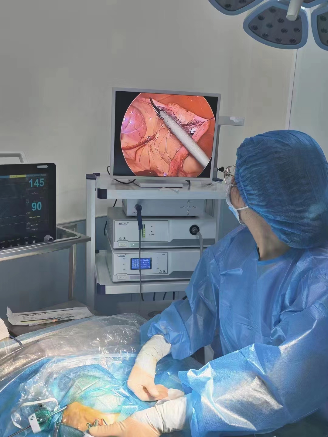 Medical Rigid Endoscope Camera 720P CVBS/VGA Supportive For Doctor Veterinary Use