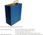 Custom Luxury Retail Paper Shopping Bag Color Paper Bag Supplier, kraft paper