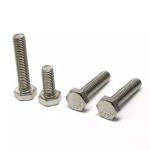 Stainless Steel Hex Bolts DIN912 Allen Head Bolts M4 M6 M7 M8 M10 M19 M21