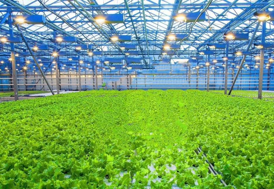 Humidity-Controlled Planting Facility by Juxiang