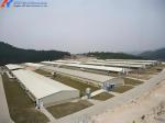 Steel Structure Poultry House Broiler Shed with Automatic Equipment