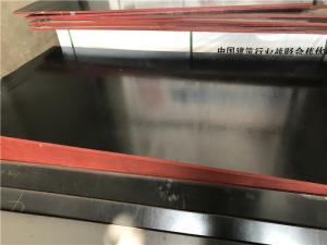Quality E0 E1 Standards Bamboo Plywood Sheets Uniform Thickness Environmental Friendly wholesale