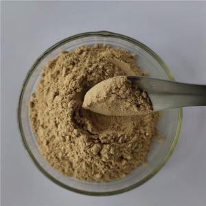 Quality Indian Bread Extract For Anti Cancer Capsules wholesale