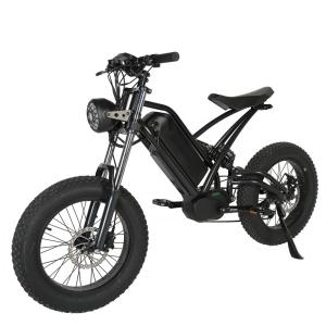 Quality Customized Vintage Electric Bike with Lithium Battery 48V 750W Mid Drive Motor E-Bike wholesale
