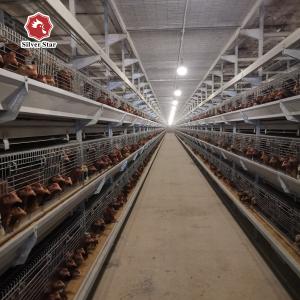 Quality Galvanized Poultry Broiler Cage Laminated Multi Level Chicken Coop wholesale