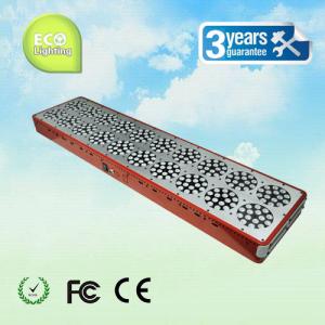 Quality Hot Sale Apollo 20 LED Grow Lights 900W (300*3W) Red Blue High Output Light CE Rohs wholesale