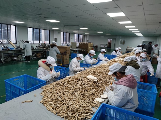 Biodegradable Eco Friendly 170mm Disposable Bamboo Knives ,Forks Spoons