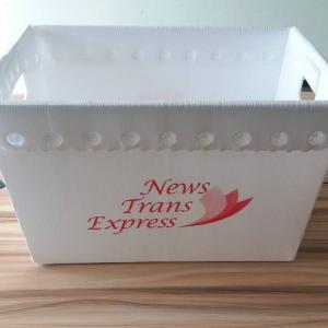 PP Postal Totes Corrugated Plastic Turnover Box 3mm Coroplast