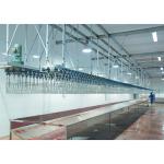 300-500 Chicken/h Automatic Slaughtering Machine Halal Chicken Abattoir