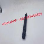 EJBR02901D Delphi Diesel Fuel Injectors