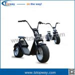 disk brake Fat tire Adult citycoco electric scooter skateboard