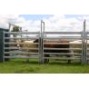 Buy cheap Used Cattle Yards For Sale Cattle Yard Fence Heavy Duty 6 Oval 1.6mm thick 1 from wholesalers