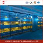 Space Saving Automatic Broiler Cage System For 120-200 Chickens Rose