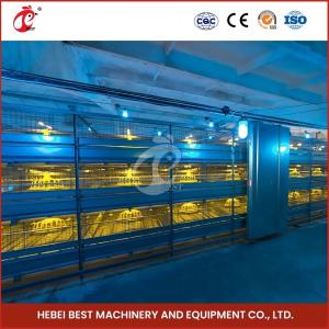 Quality Space Saving Automatic Broiler Cage System For 120-200 Chickens Rose wholesale