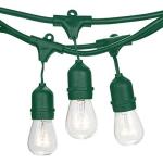 Customized Color Size LED String Light For Outdoor Festoon Garden Decoration