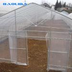 Tunnel Agriculture 8m Greenhouse Plastic Film Polyethylene Film Greenhouse