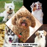 Itch Relief Pet Care Shampoo For Dogs Oatmeal Formula With Coconut Lime Verbena