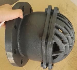Quality 6'' flanged cast iron foot valve from Hebei valve manufacturer wholesale