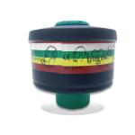 Industrial Powered Air Purifying Respirator PAPR 12V For Breathing Protection