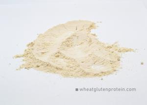 Quality Vital Wheat Gluten Powder , No Smell Natural Protein Ingredient For Feedstuff wholesale
