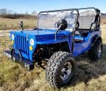 Air Cooled Single Cylinder 125CC CDI Mini Gas Golf Cart