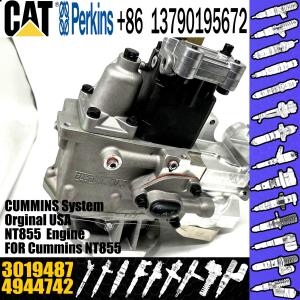 Quality NT855 engine PT fuel Injection Pump 4944742 6P1168 4951501 3019487 wholesale