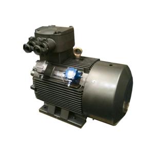 Quality 132kW Class F Explosion Proof Electric Motor YBX3 315M-4 IC411 Cooling wholesale