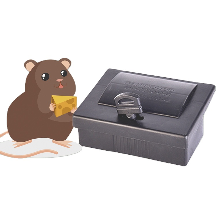 Regular Black PP Box Rat Mouse Bait Station Safe and Effective Solution for Rodent Eradication in 20 Days