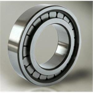 Quality 170mm SL183018 Double Row Cylindrical Roller Bearing wholesale