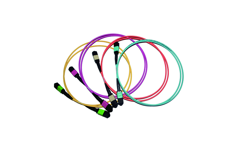24 Core MPO To MPO Fiber Cable 40 Gb Multimode Fiber Optic Patch Cord