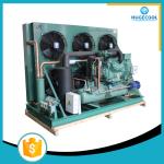 Freezer condensing cold room refrigeration compressor unit price