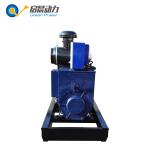 AC Three Phase 400/230V Biogas Natural Gas Generator Price
