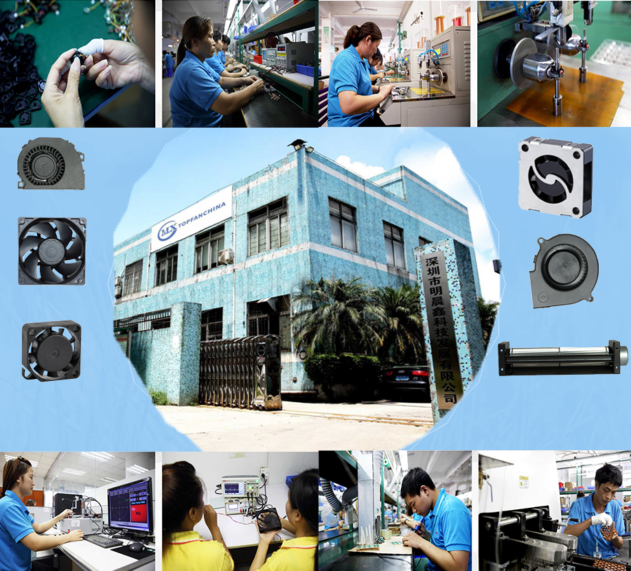 Industrial Equipment Cooling Fans Dc Brussless Fan For Exhaust Ventilation 60 * 60 * 25mm